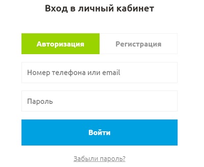 форма авторизации байкалсервис