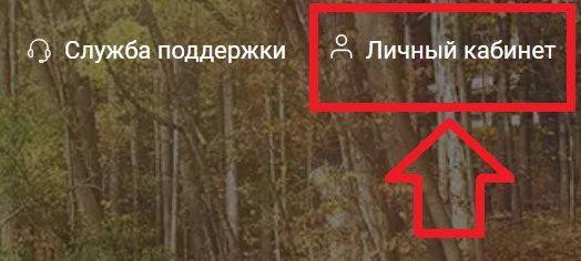 Бусфор регистрация